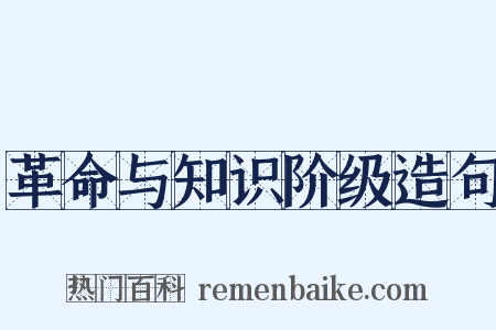 革命与知识阶级造句是什么意思的图片